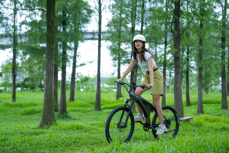 Long Range Foldable Electric Mountain Bike